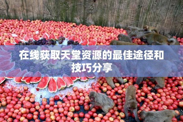 在线获取天堂资源的最佳途径和技巧分享