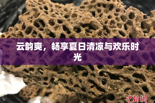 云韵爽，畅享夏日清凉与欢乐时光