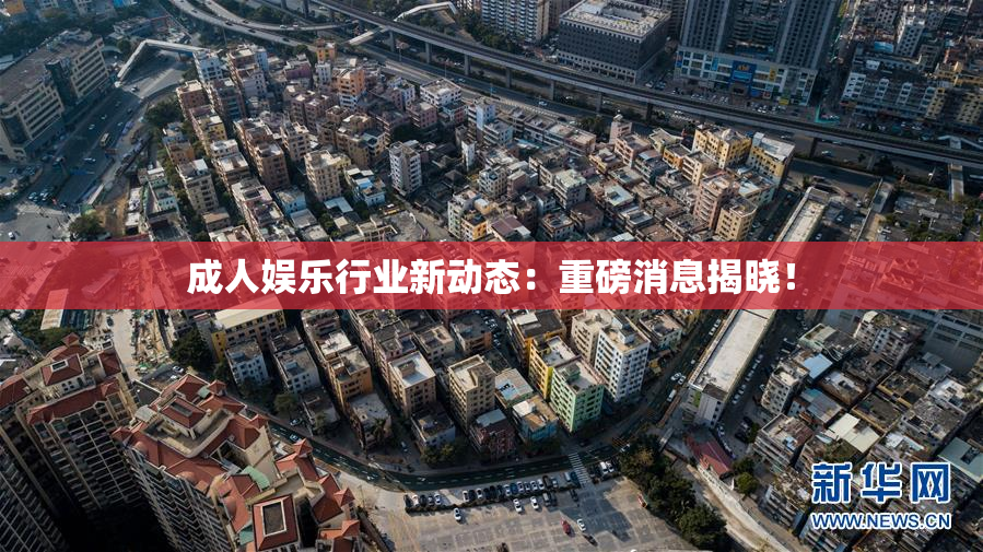成人娱乐行业新动态：重磅消息揭晓！