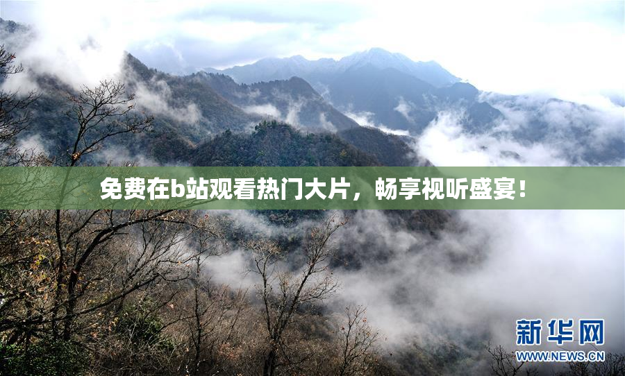 免费在b站观看热门大片，畅享视听盛宴！