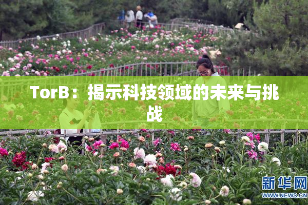TorB：揭示科技领域的未来与挑战