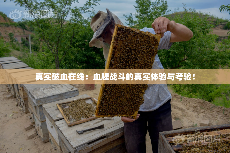 真实破血在线：血腥战斗的真实体验与考验！