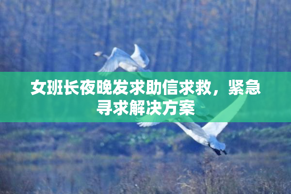 女班长夜晚发求助信求救，紧急寻求解决方案