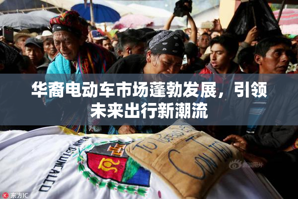 华裔电动车市场蓬勃发展，引领未来出行新潮流