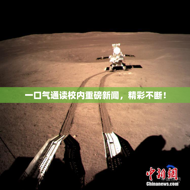 一口气通读校内重磅新闻，精彩不断！