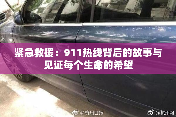 紧急救援：911热线背后的故事与见证每个生命的希望