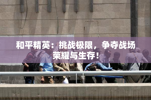 和平精英：挑战极限，争夺战场荣耀与生存！