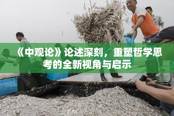 《中观论》论述深刻，重塑哲学思考的全新视角与启示