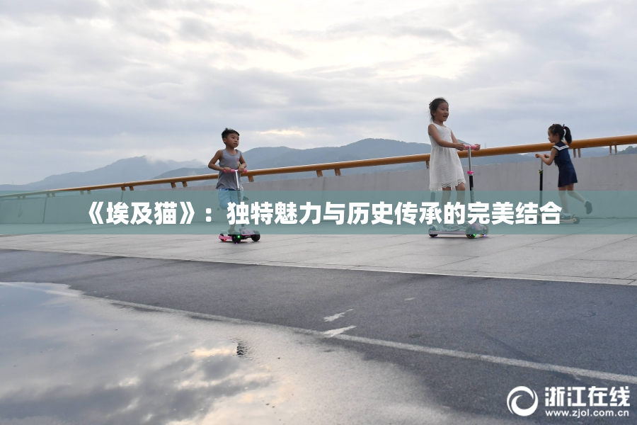 《埃及猫》：独特魅力与历史传承的完美结合