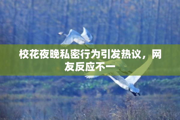 校花夜晚私密行为引发热议，网友反应不一
