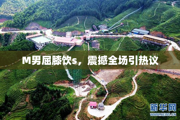 M男屈膝饮s，震撼全场引热议