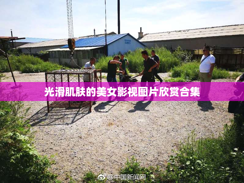 光滑肌肤的美女影视图片欣赏合集