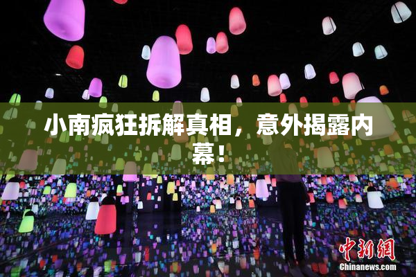 小南疯狂拆解真相，意外揭露内幕！