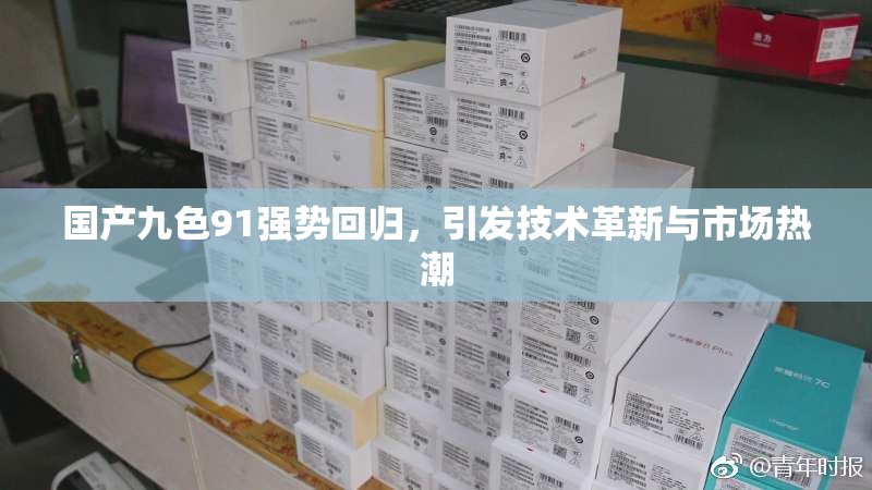 国产九色91强势回归，引发技术革新与市场热潮