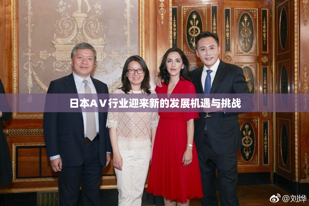 日本AⅤ行业迎来新的发展机遇与挑战
