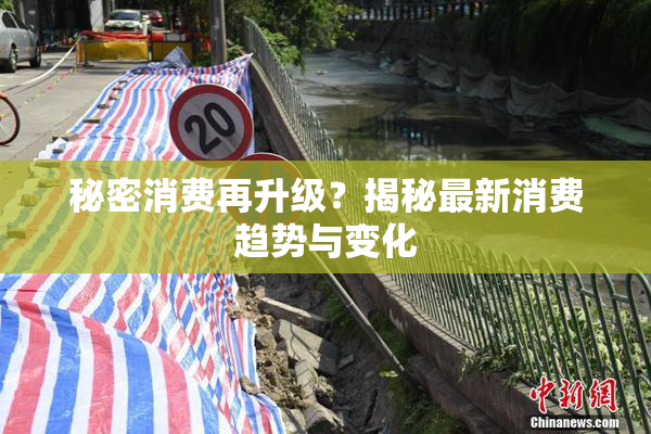 秘密消费再升级？揭秘最新消费趋势与变化