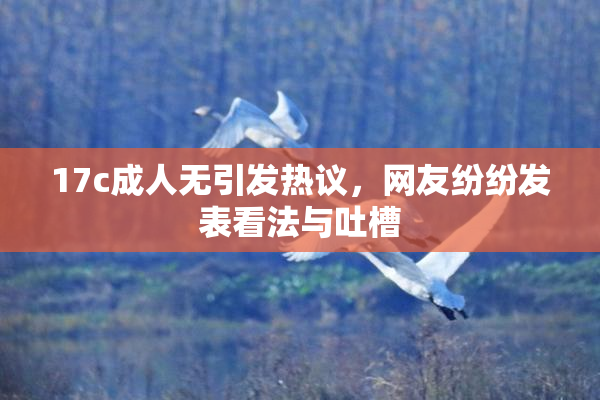 17c成人无引发热议，网友纷纷发表看法与吐槽