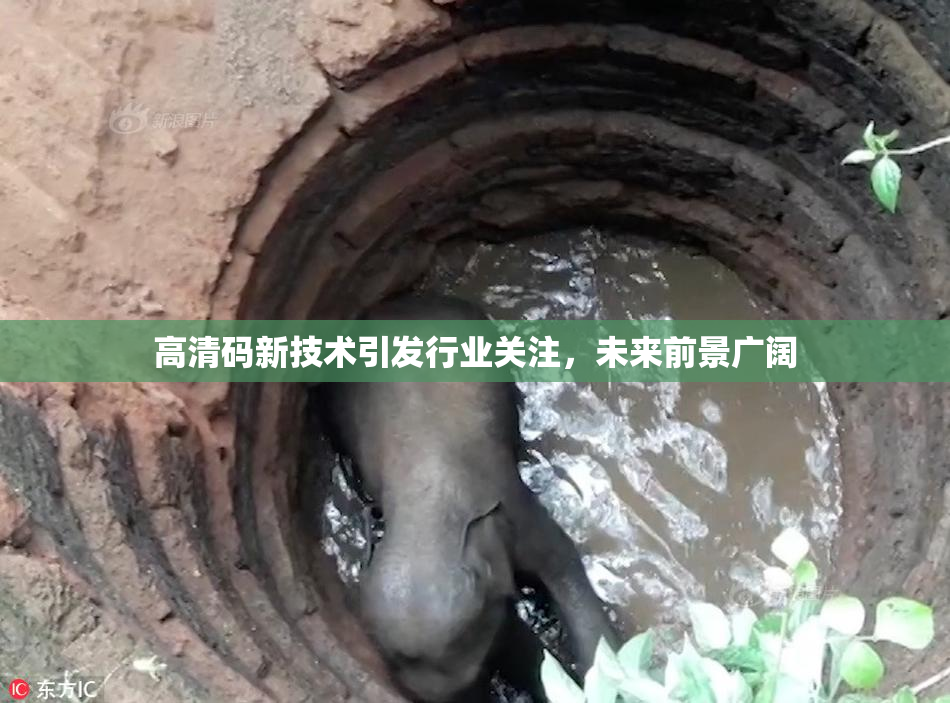 高清码新技术引发行业关注，未来前景广阔