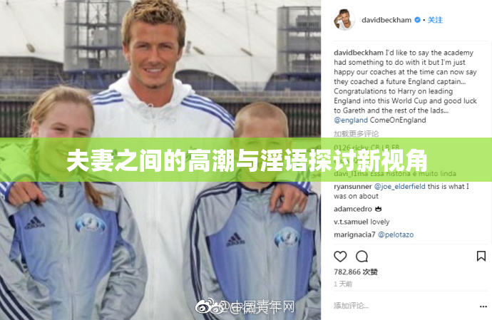 夫妻之间的高潮与淫语探讨新视角