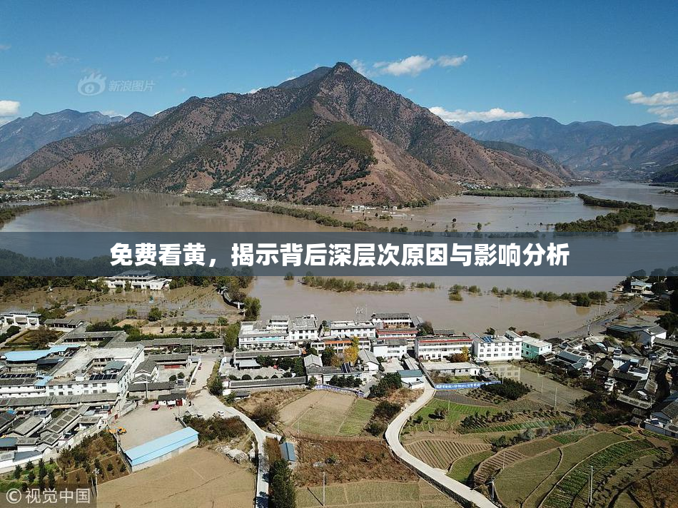 免费看黄，揭示背后深层次原因与影响分析