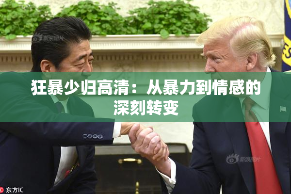 狂暴少归高清：从暴力到情感的深刻转变