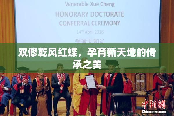 双修乾风红蝶，孕育新天地的传承之美