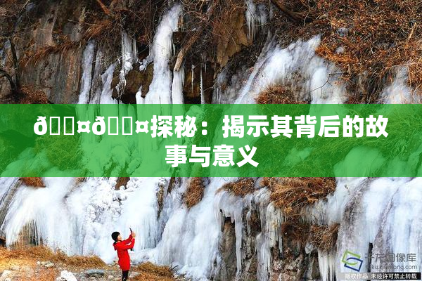 🐤🐤探秘：揭示其背后的故事与意义