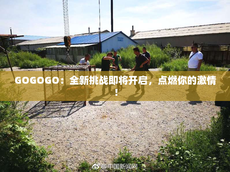 GOGOGO：全新挑战即将开启，点燃你的激情！