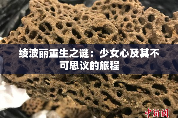 绫波丽重生之谜：少女心及其不可思议的旅程