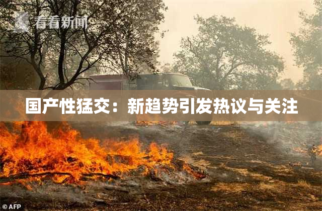 国产性猛交：新趋势引发热议与关注