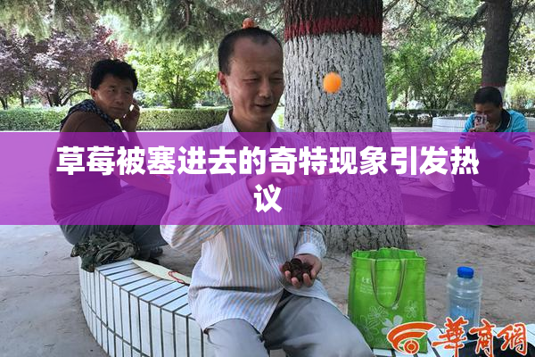 草莓被塞进去的奇特现象引发热议