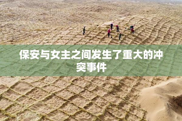 保安与女主之间发生了重大的冲突事件