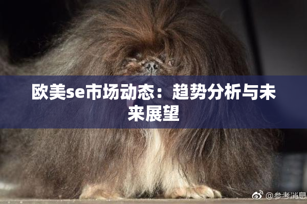 欧美se市场动态：趋势分析与未来展望