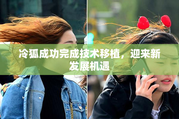 冷狐成功完成技术移植，迎来新发展机遇