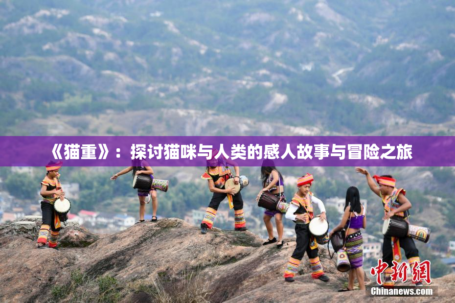 《猫重》：探讨猫咪与人类的感人故事与冒险之旅