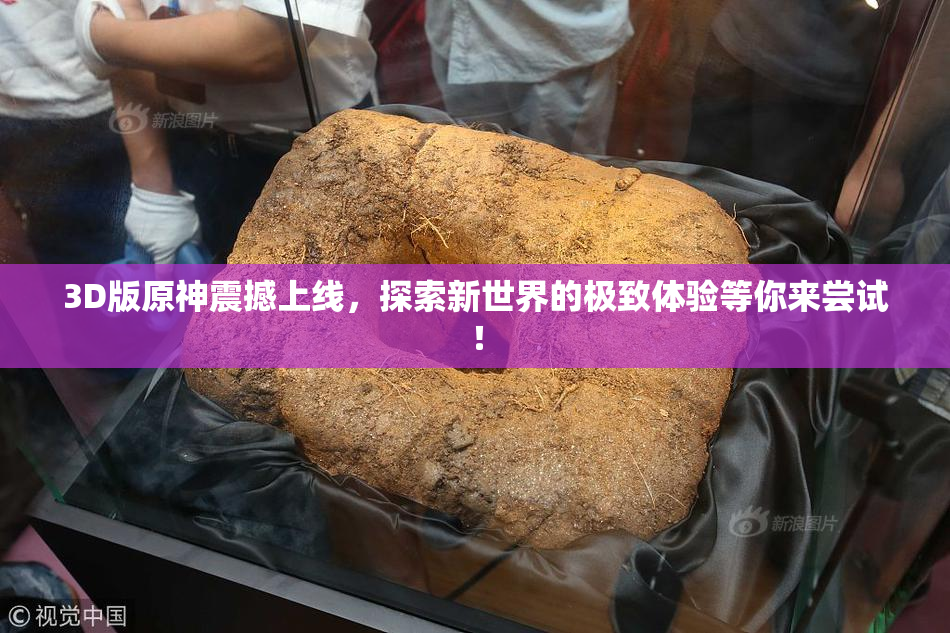3D版原神震撼上线，探索新世界的极致体验等你来尝试！
