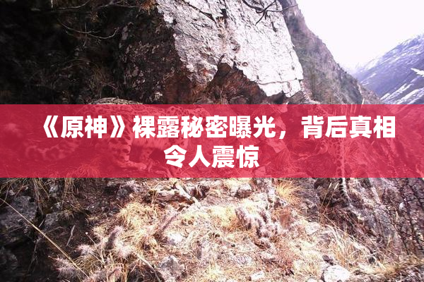 《原神》裸露秘密曝光，背后真相令人震惊