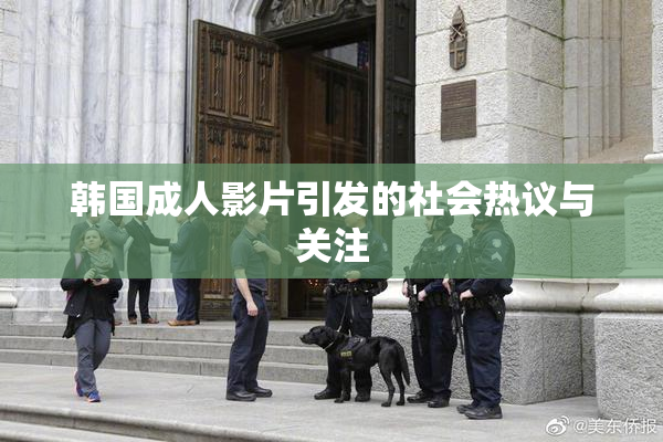 韩国成人影片引发的社会热议与关注