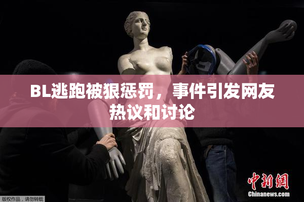 BL逃跑被狠惩罚，事件引发网友热议和讨论