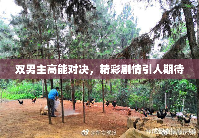 双男主高能对决，精彩剧情引人期待