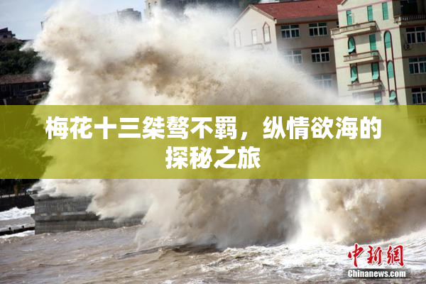 梅花十三桀骜不羁，纵情欲海的探秘之旅