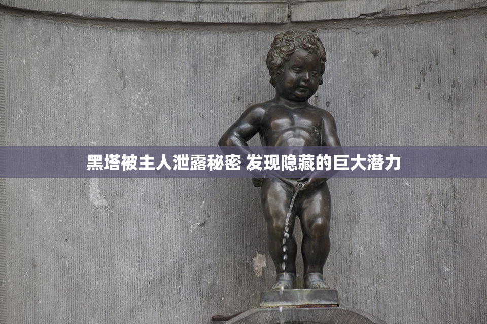 黑塔被主人泄露秘密 发现隐藏的巨大潜力