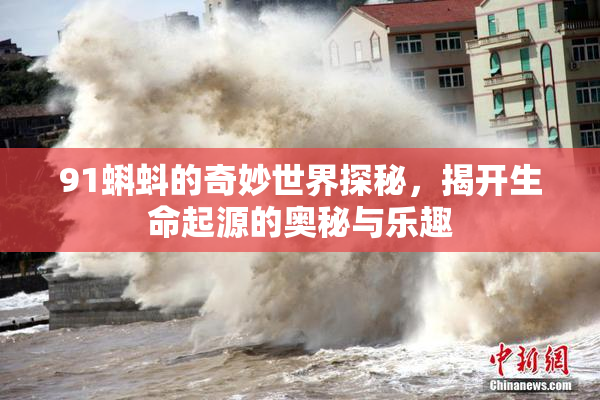 91蝌蚪的奇妙世界探秘，揭开生命起源的奥秘与乐趣