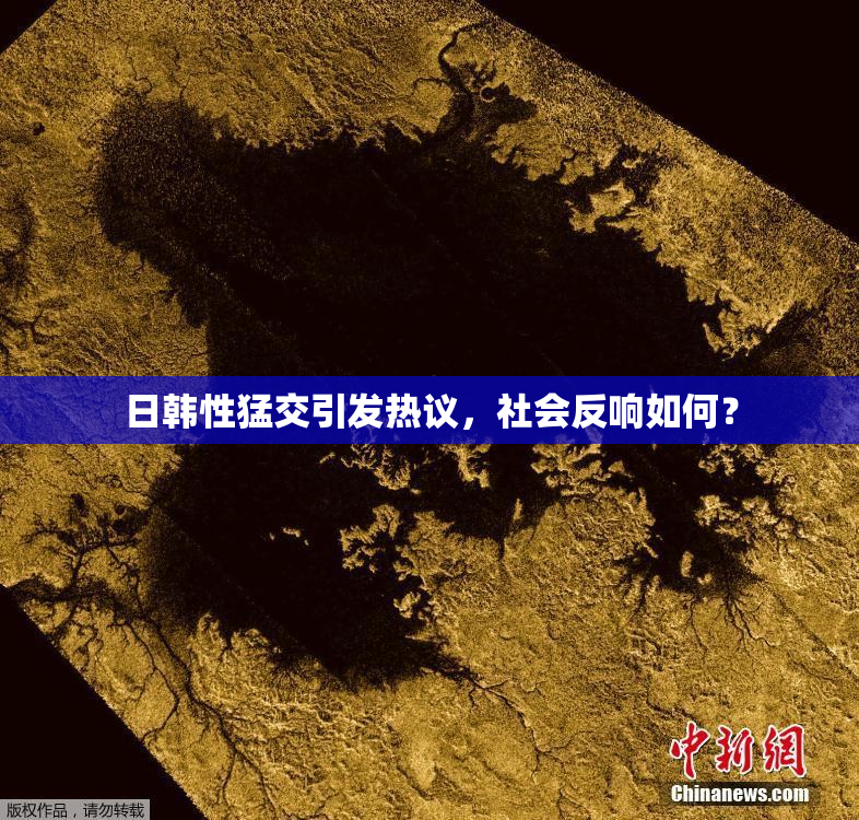 日韩性猛交引发热议，社会反响如何？