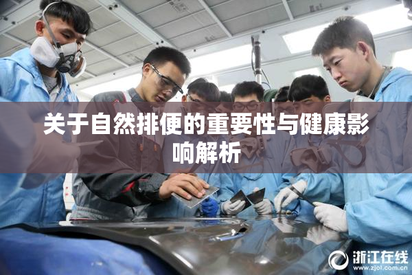 关于自然排便的重要性与健康影响解析