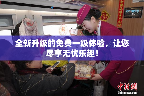 全新升级的免费一级体验，让您尽享无忧乐趣！