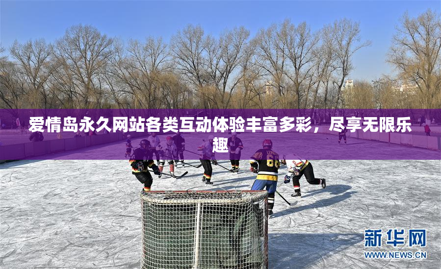 爱情岛永久网站各类互动体验丰富多彩，尽享无限乐趣