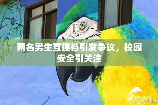两名男生互摸裆引发争议，校园安全引关注