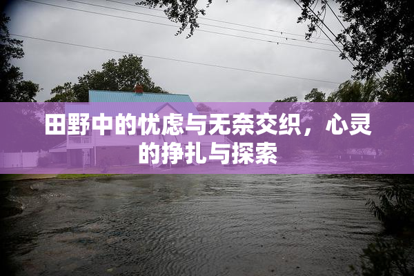 田野中的忧虑与无奈交织，心灵的挣扎与探索