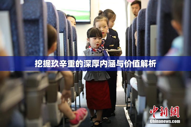 挖掘玖辛重的深厚内涵与价值解析